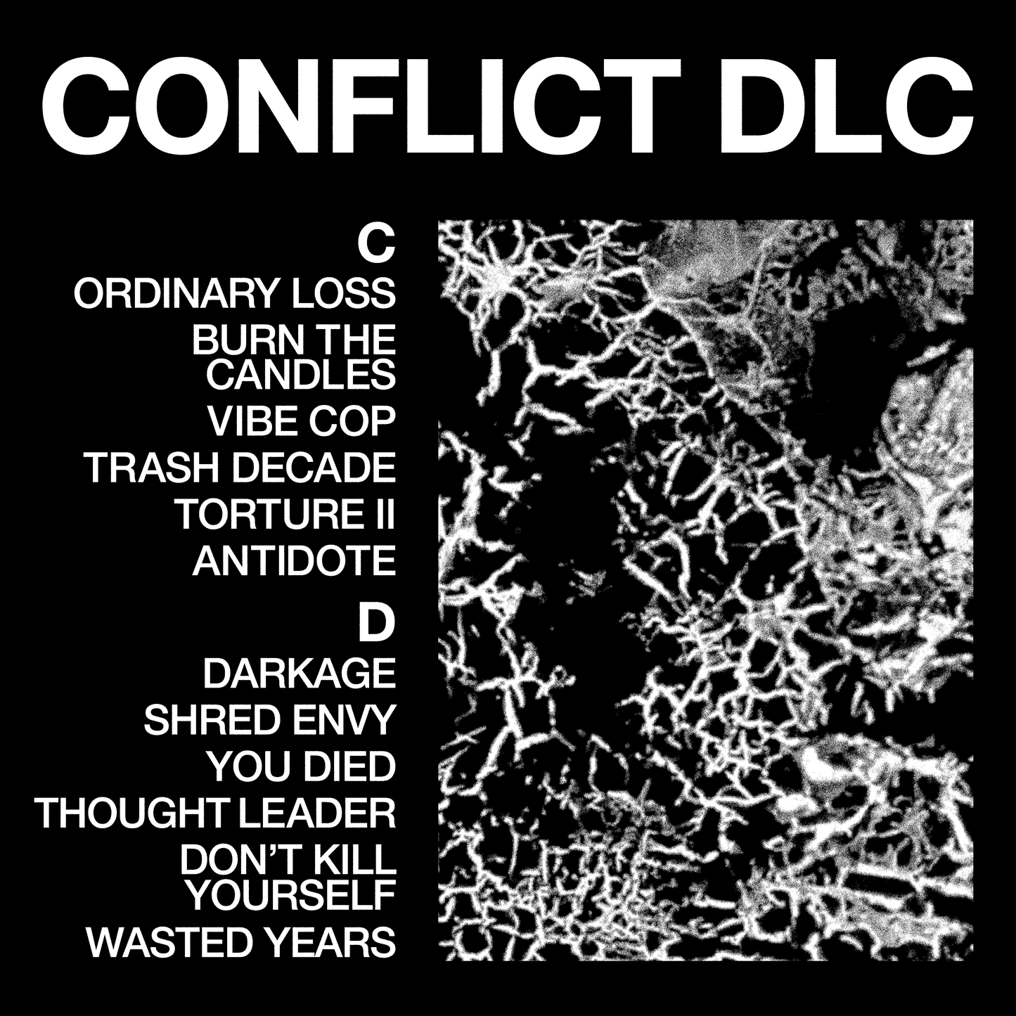 "CONFLICT DLC" [PRE-ORDER]